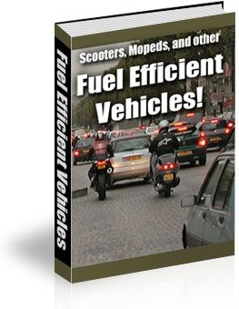 (image for) Fuel Efficient Vehicles (PLR)