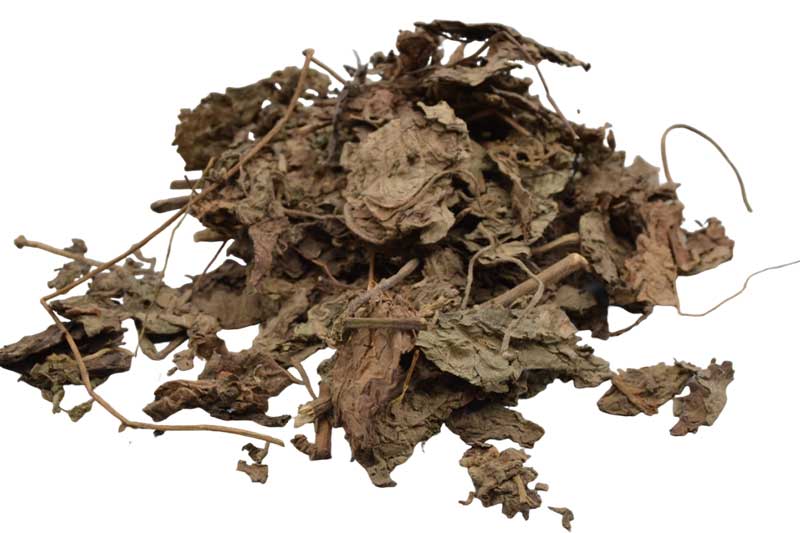 (image for) 1 Lb Patchouli Leaf whole